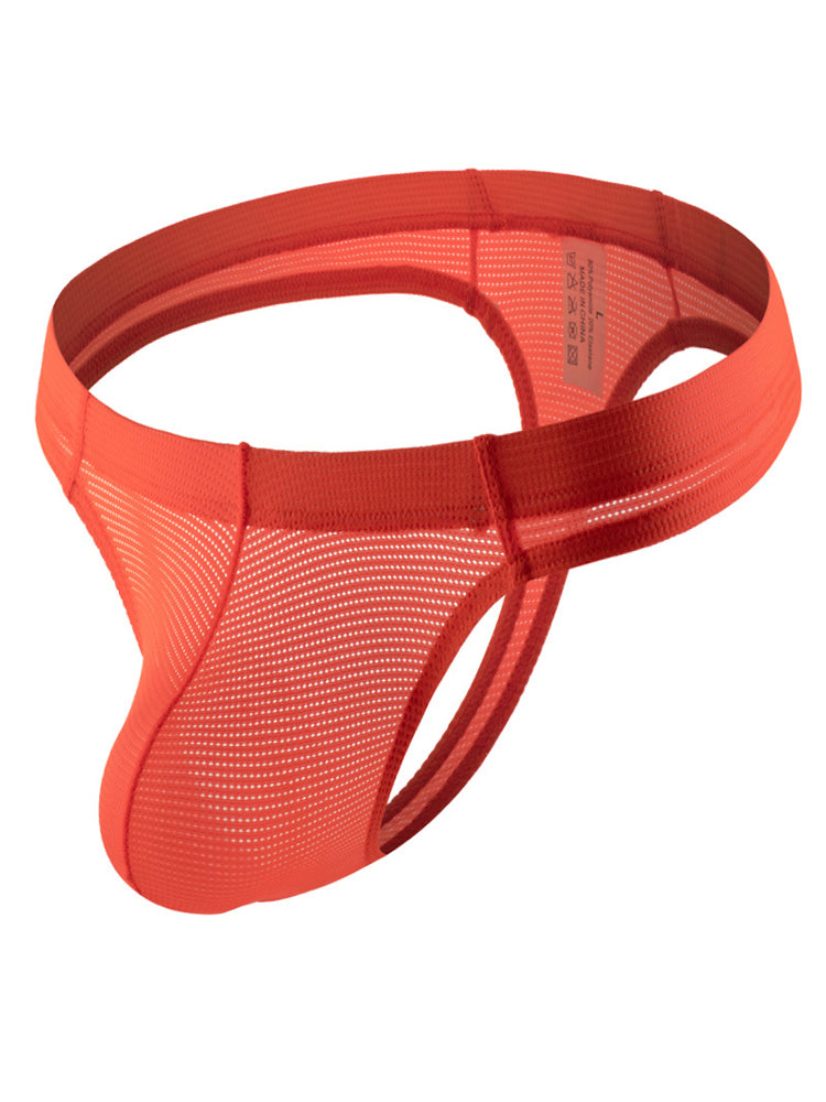 Men's Sexy Mesh Nylon Thong