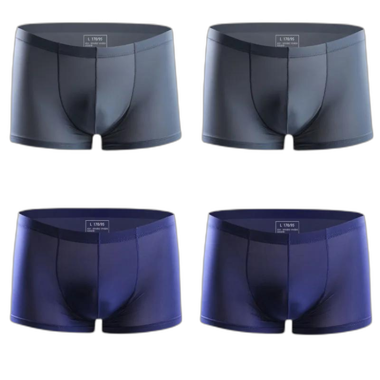 Ice Embrace Transparent Boxer Briefs (4 Pack)