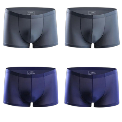 Ice Embrace Transparent Boxer Briefs (4 Pack)