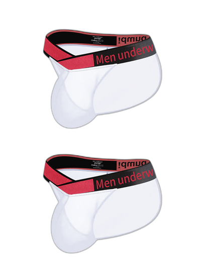 2 Pack Men's Large Pouch Semi-Transparent Sexy Bikini