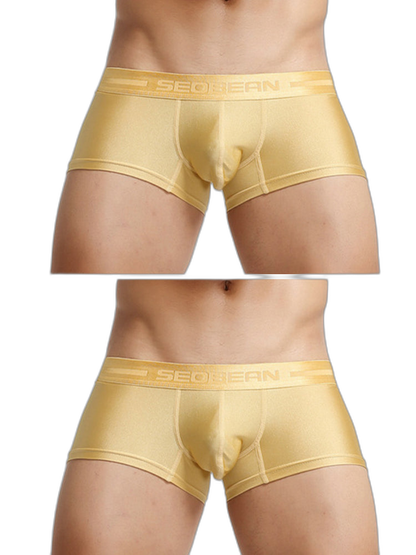 2 Pack Men’s Lustrous Metallic Trunks