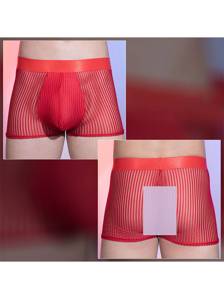 Men's Sexy Sheer Vertical-Striped Boxer Briefs