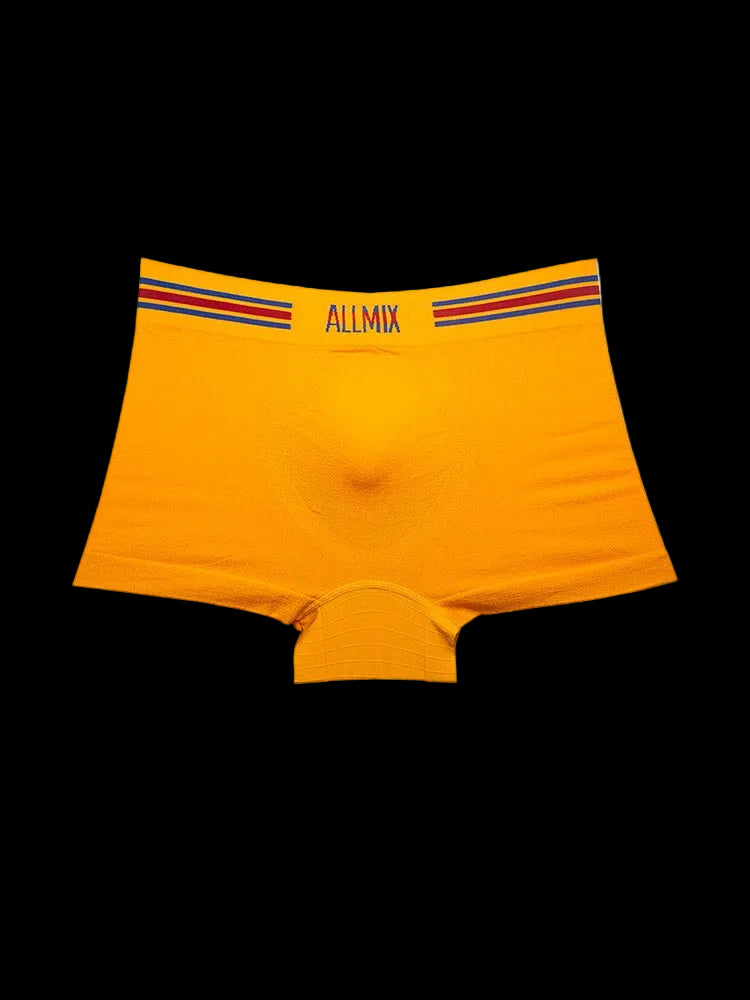 3 Pack ALLMIX Men's Sexy Striped Seamless Low Waist Boxers Briefs - The Pup Play Hub