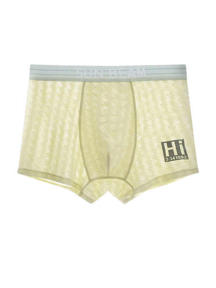 3 Pack Men's Anti - Odor Seamless Comfort Ultra - Soft Trunks - The Pup Play Hub