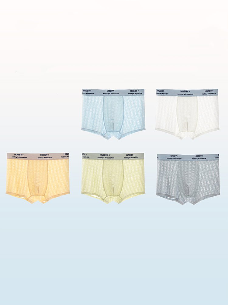 3 Pack Men's Anti - Odor Seamless Comfort Ultra - Soft Trunks - The Pup Play Hub