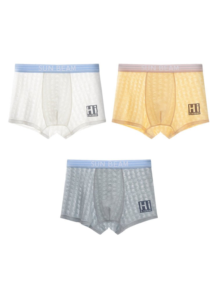 3 Pack Men's Anti - Odor Seamless Comfort Ultra - Soft Trunks - The Pup Play Hub