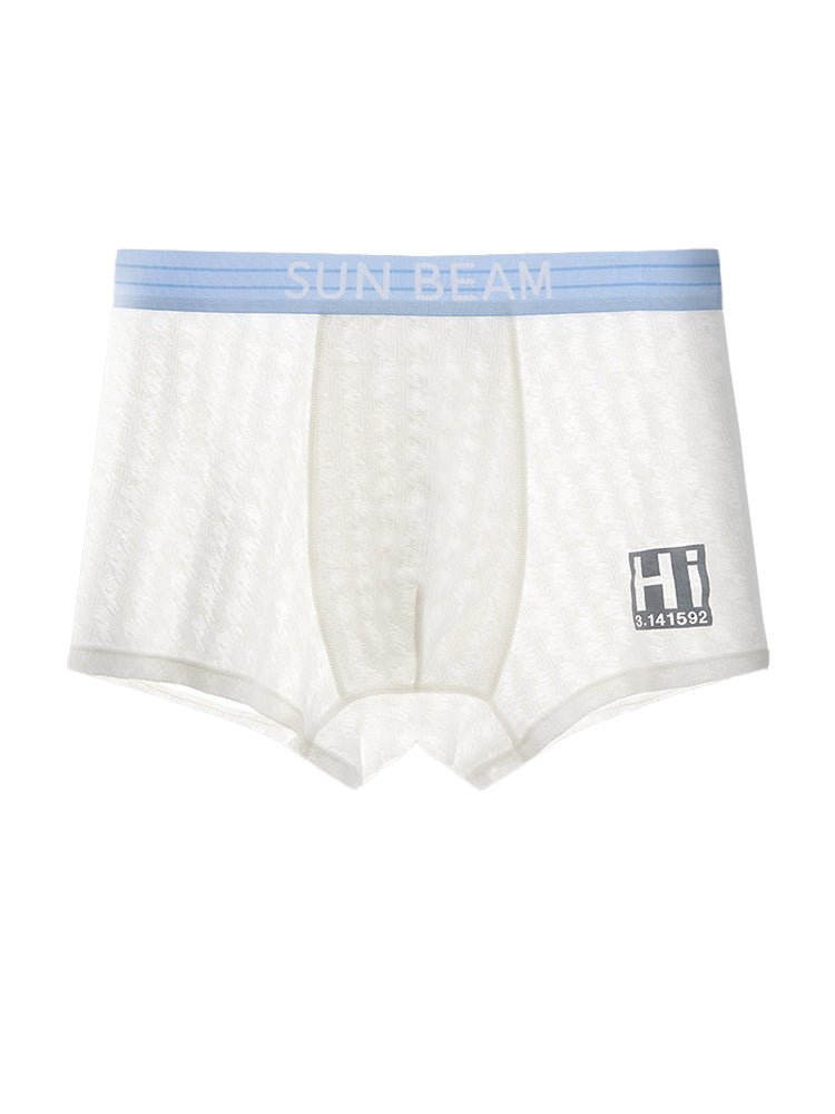 3 Pack Men's Anti - Odor Seamless Comfort Ultra - Soft Trunks - The Pup Play Hub