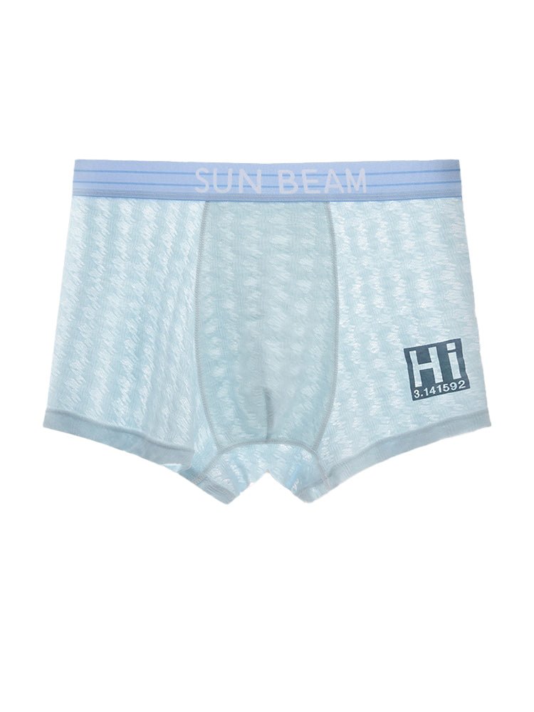 3 Pack Men's Anti - Odor Seamless Comfort Ultra - Soft Trunks - The Pup Play Hub