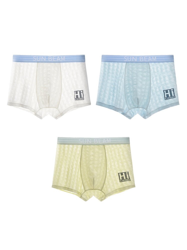 3 Pack Men's Anti - Odor Seamless Comfort Ultra - Soft Trunks - The Pup Play Hub