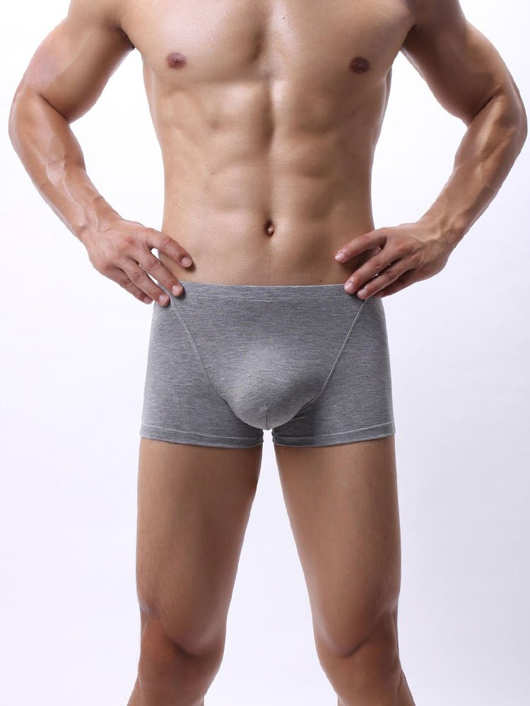 3 - pack Men's Bamboo Fiber U - pouch Boxer Briefs - The Pup Play Hub