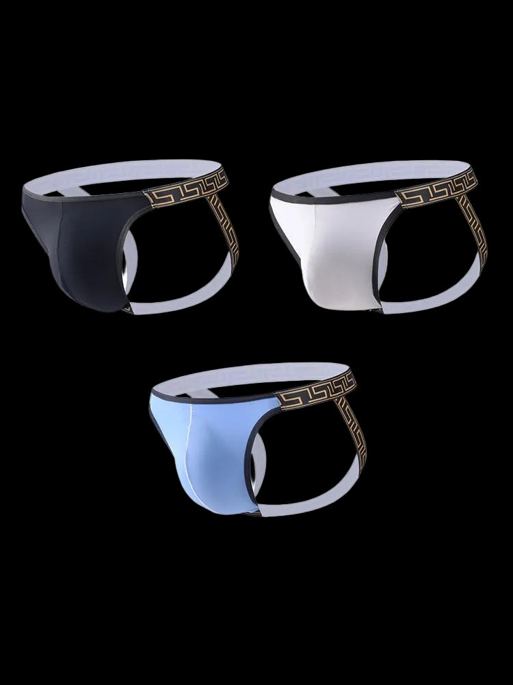3 Pack Men's Large Pouch Low - Rise Sexy Jockstrap - The Pup Play Hub