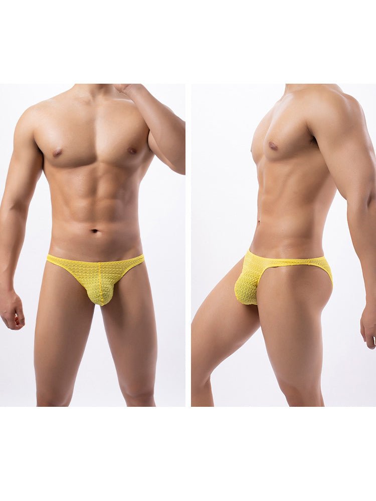 3 - pack Men's Low - rise Sexy Mesh Lace Briefs - The Pup Play Hub