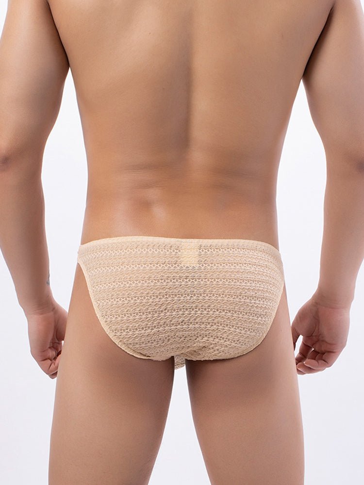 3 - pack Men's Low - rise Sexy Mesh Lace Briefs - The Pup Play Hub