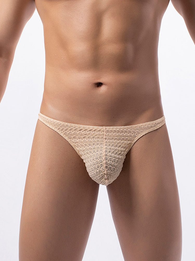 3 - pack Men's Low - rise Sexy Mesh Lace Briefs - The Pup Play Hub
