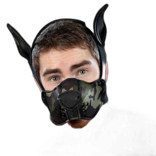Mr S Leather Neoprene K9 Kit Camo