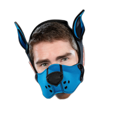 Mr S Leather Neoprene K9 Kit Cobalt