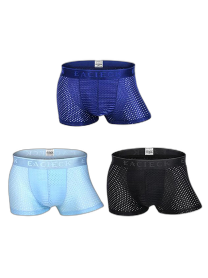 3Pcs Men's Mesh Thin Ice Silk Underwear