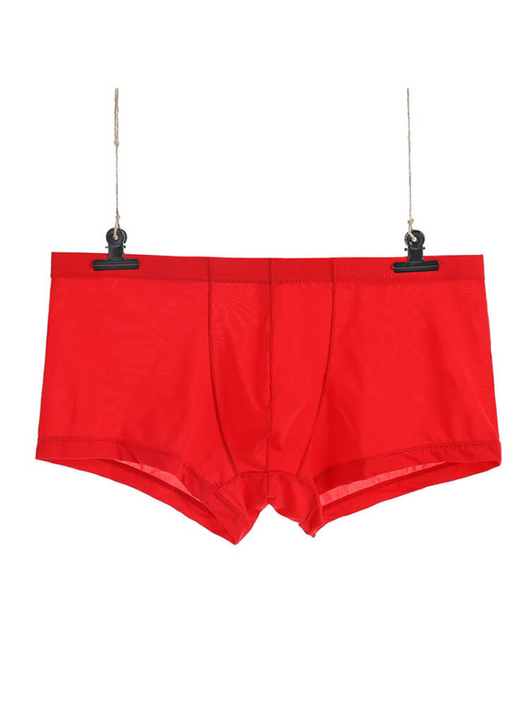 Men's Sexy Low-Rise Thin Transparent Boxer Briefs