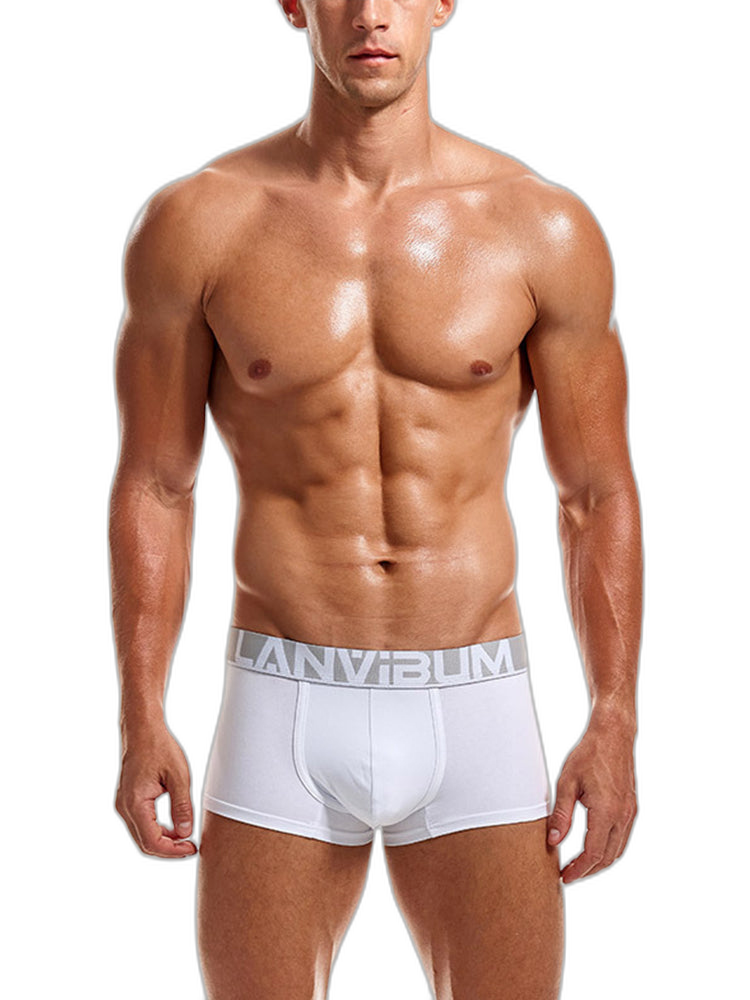 2 Pack Men's Breathable Big Pouch Trunks