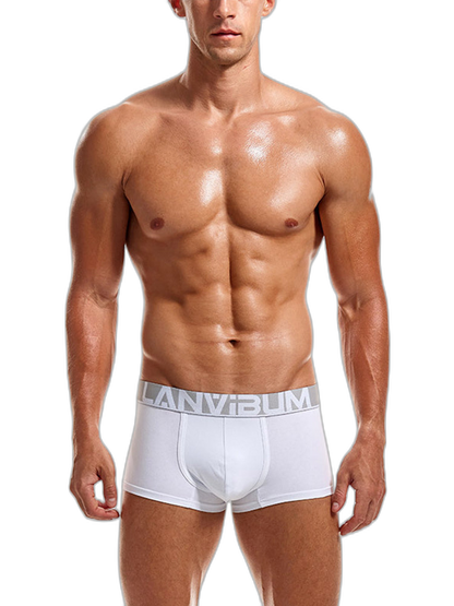 2 Pack Men's Breathable Big Pouch Trunks