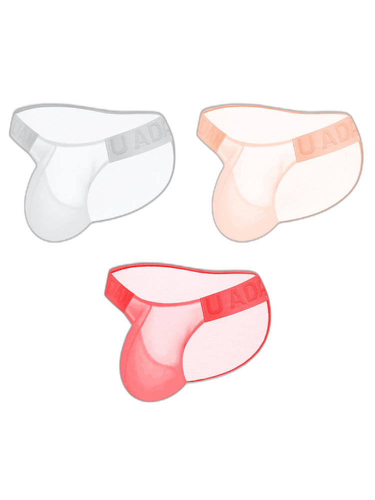 3 Pack Sexy Sheer Low-Rise Men's Bikini