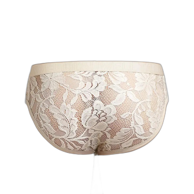 Sheer Temptation Lace Briefs for Men