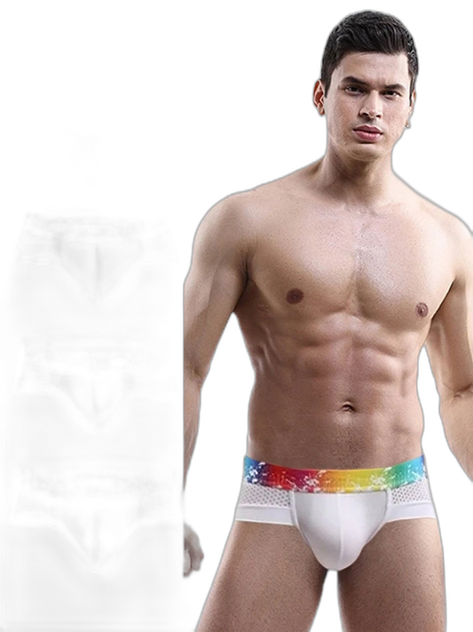 4 Pack Breathable Modal Colored Belt Briefs-rainbow pride underwear