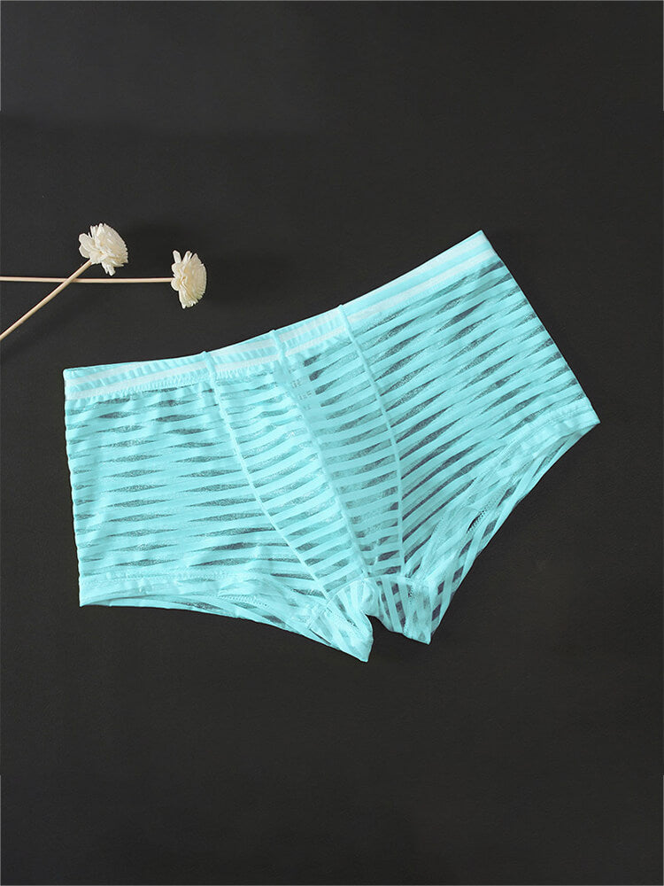 Men's Sexy Mesh Transparent Striped Boxer Briefs
