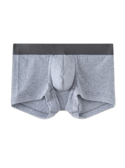 2 Pack Men's Ultra-Soft Premium Pure Cotton Comfy Waistband Seamless Trunks