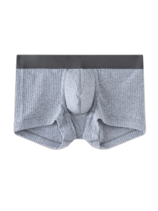 2 Pack Men's Ultra-Soft Premium Pure Cotton Comfy Waistband Seamless Trunks