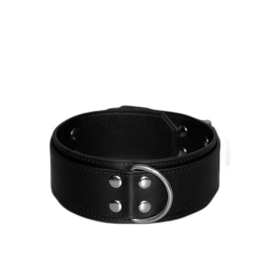 Buckle Style Leather Collar