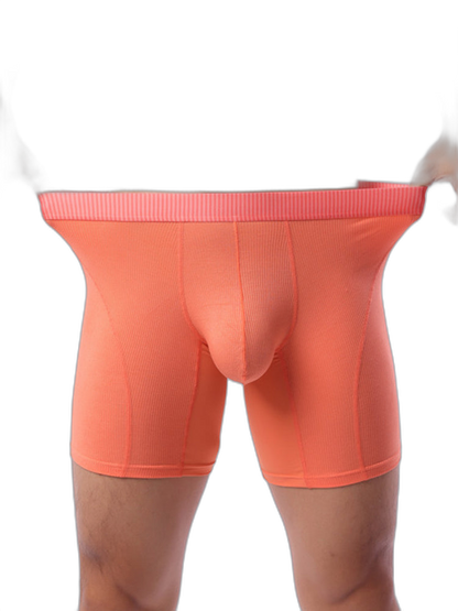 2 Pack Men’s Casual Ice Silk Midway Briefs