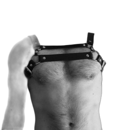 Dual Strap Leather Harness