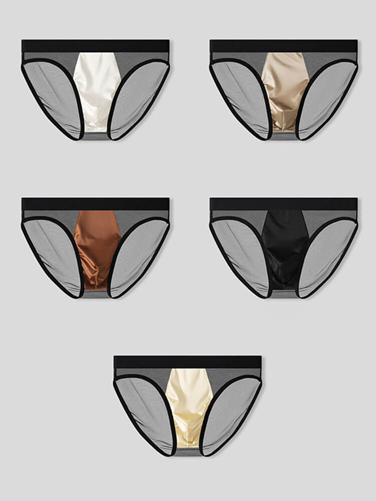 Men's Sexy Sheer Mesh Satin Pouch Briefs