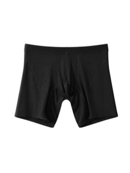 2 Pack Men’s Casual Ice Silk Midway Briefs
