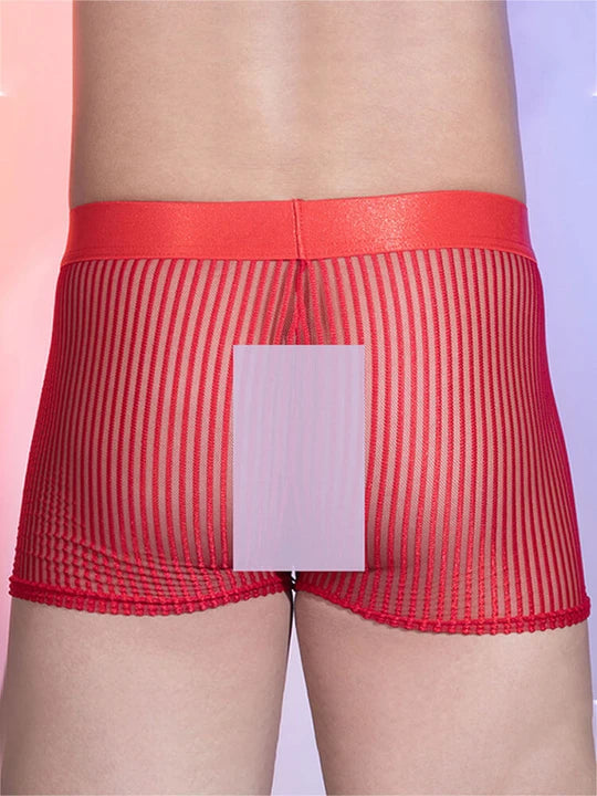 Men's Sexy Sheer Vertical-Striped Boxer Briefs