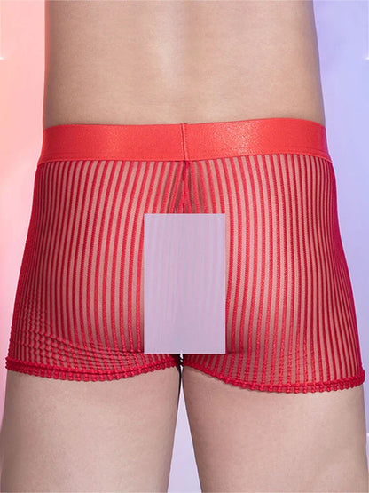 Men's Sexy Sheer Vertical-Striped Boxer Briefs