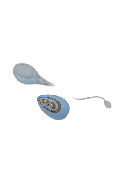 Remote-Controlled Love Egg with 10 Modes