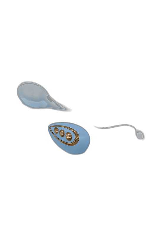 Remote-Controlled Love Egg with 10 Modes
