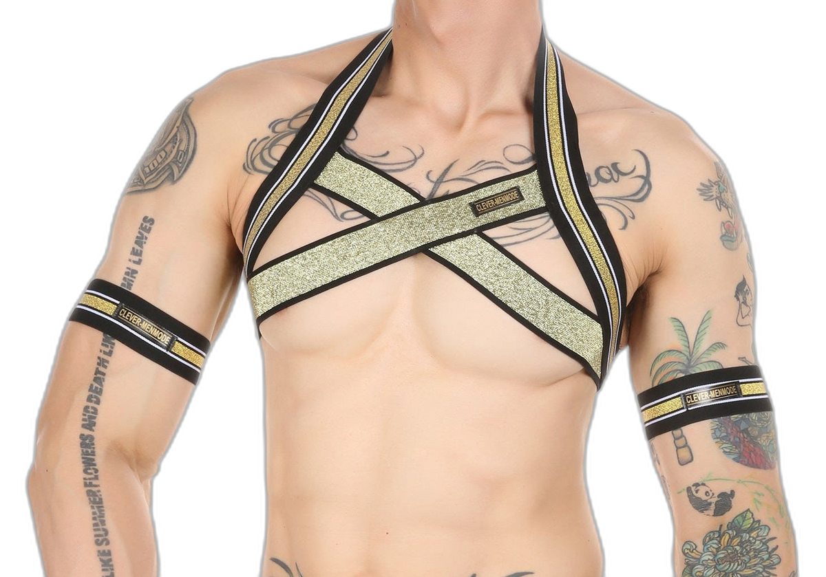 Gold Glitter Harness