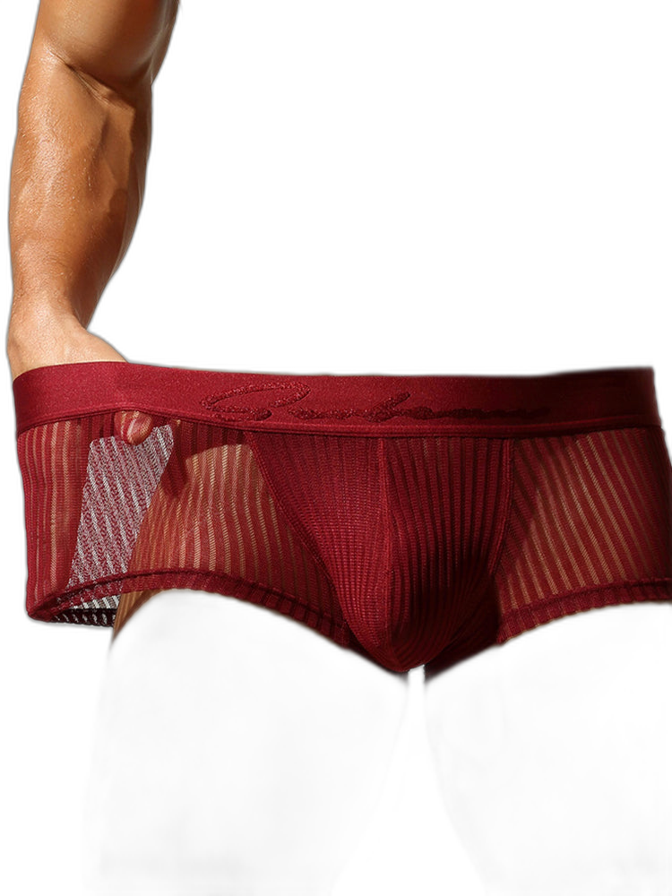 3 Pack Men's Striped Mesh Trunks with Comfort Pouch