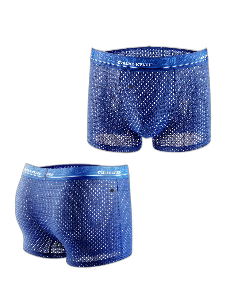 4 Pack Mesh Breathable Ice Silk Underwear Boxer