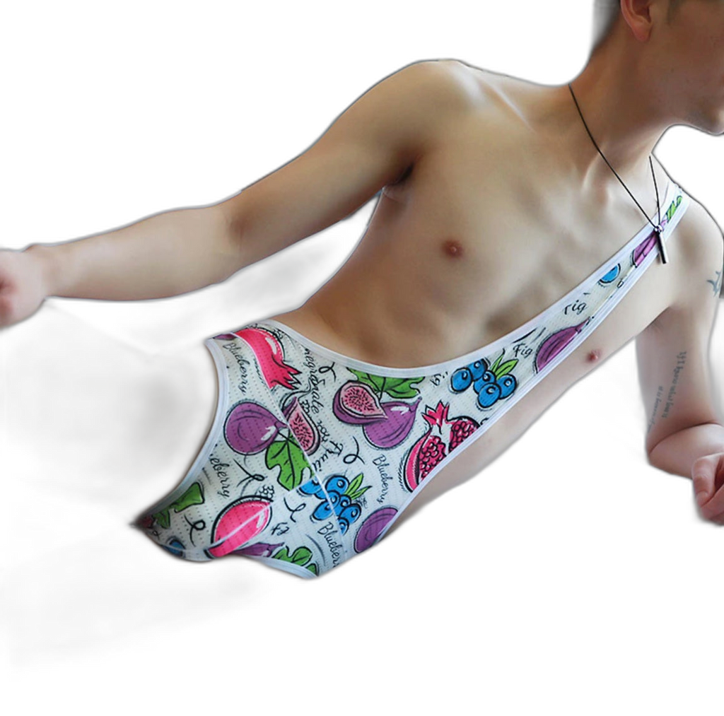 Mesh Gay Leotard Underwear