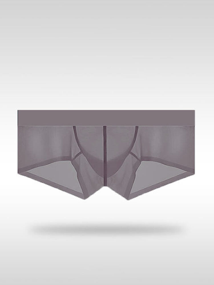 Men's Sexy Tight Transparent Low Rise Trunks