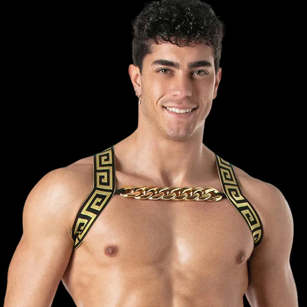 Leader Invictus Harness | Black Gold