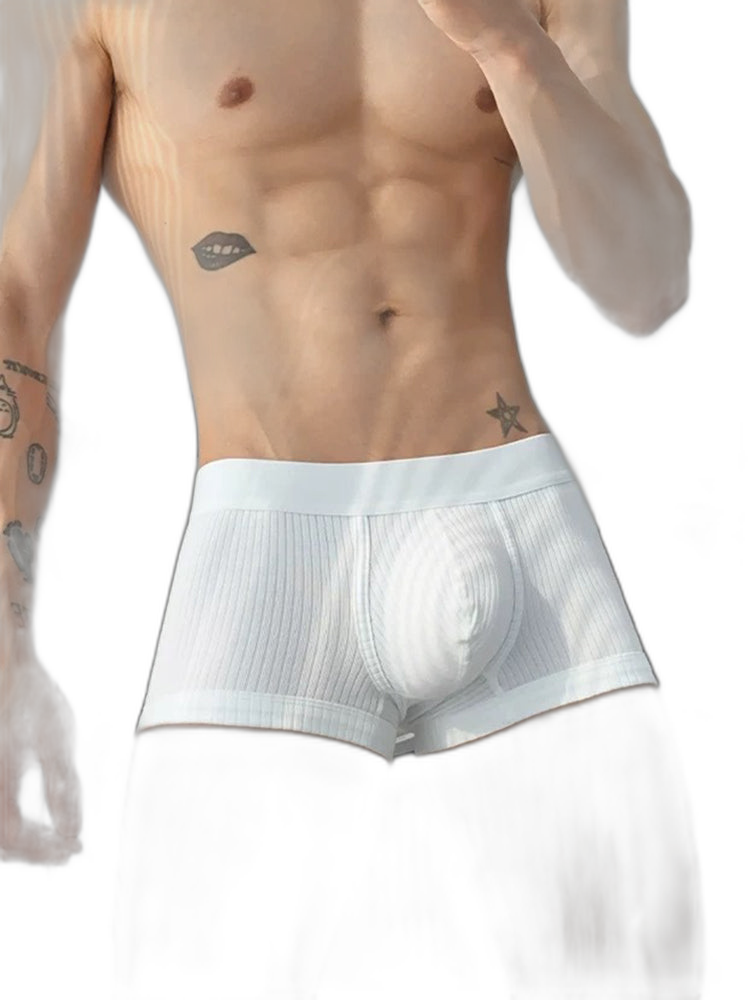 2 Pack Men's Ultra-Soft Premium Pure Cotton Comfy Waistband Seamless Trunks