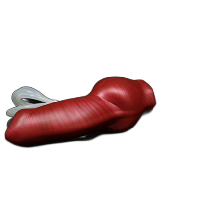Razor the Doberman, Cumtube, Natural