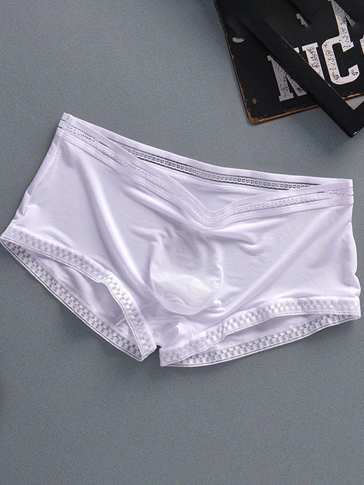 Men's Semi Transparent Ice Silk Boxer Briefs 