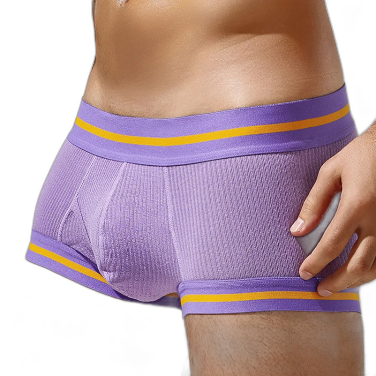 Tauwell Retro Era Boxer Briefs