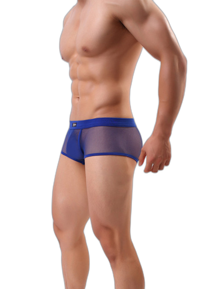 Men's Sexy Transparent Mesh Trunks